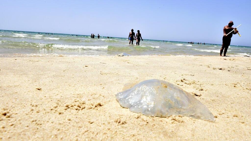 חוף הסלע בבת ים (צילום: קובי קואנקס) חוף הסלע בבת ים
