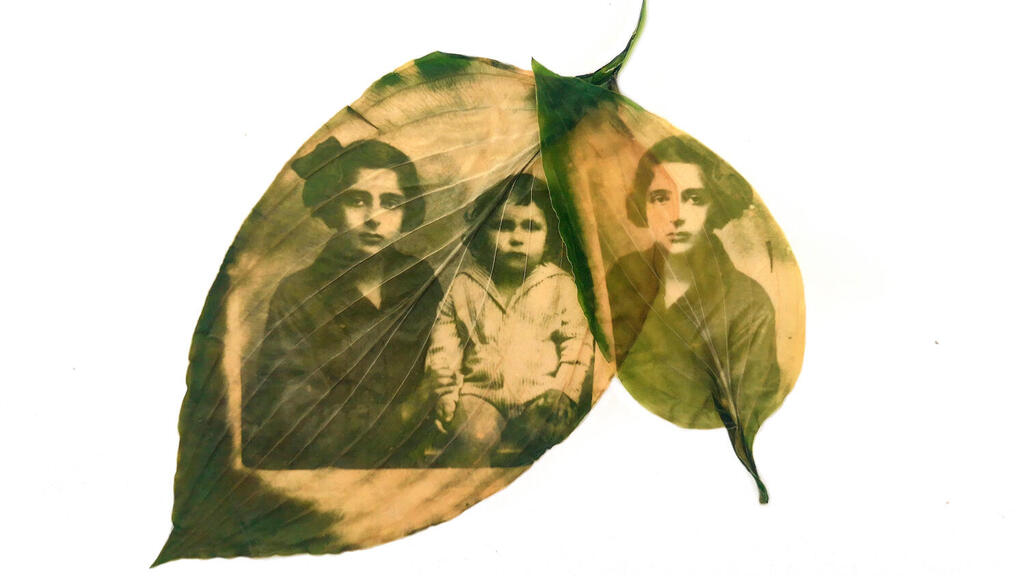 The old pictures that were embedded in the leaves (Photo: Courtesy of Dovilė Dagienė) התמונות הישנות הוטמעו על העלים בטכניקה מיוחדת
