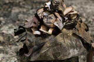 A synagogue after it was burned down in the terror attack in Dagestan on Sunday 