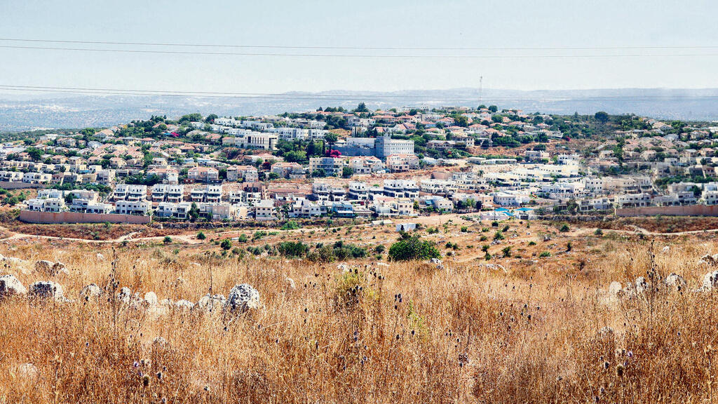 רבבה. אמורה להכפיל את עצמה (צילום: שאול גולן) yk13978905