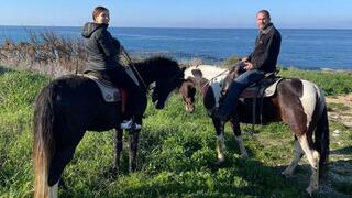 סוסים נהרגו מפגיעת טיל בחווה בגליל המערבי