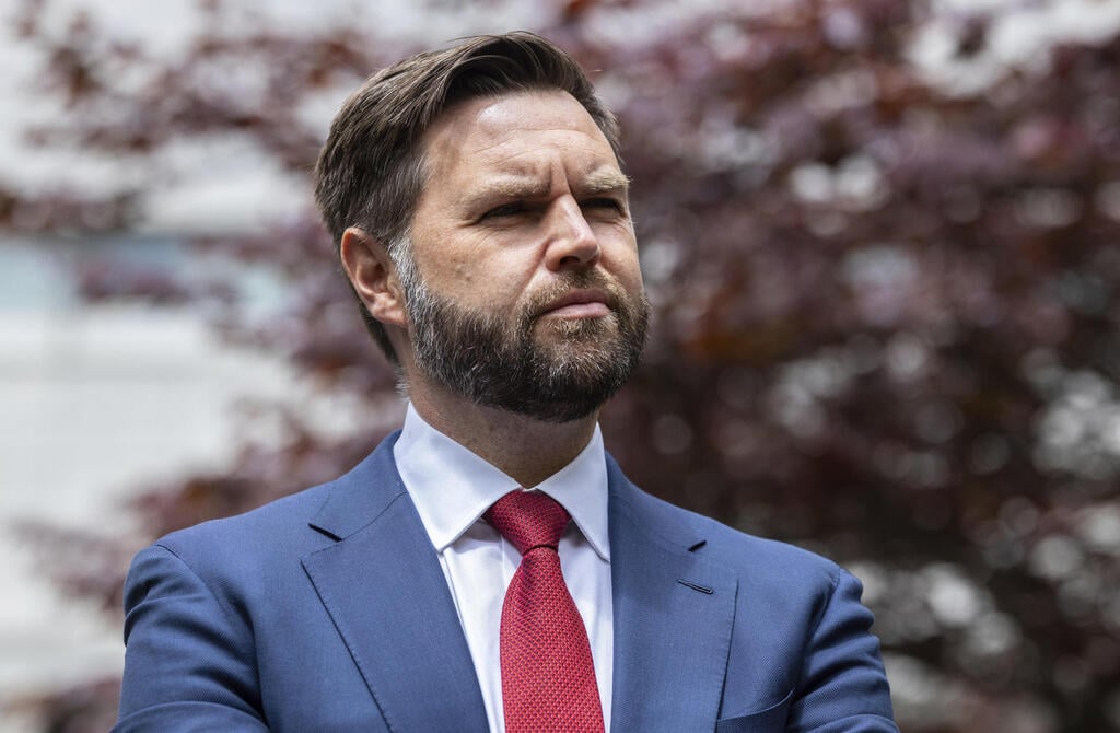Reference to J.D Vance's comment about 'childless cat ladies' (Photo: AP Photo/Stefan Jeremiah, File) דונלד טראמפ וג'י די ונס