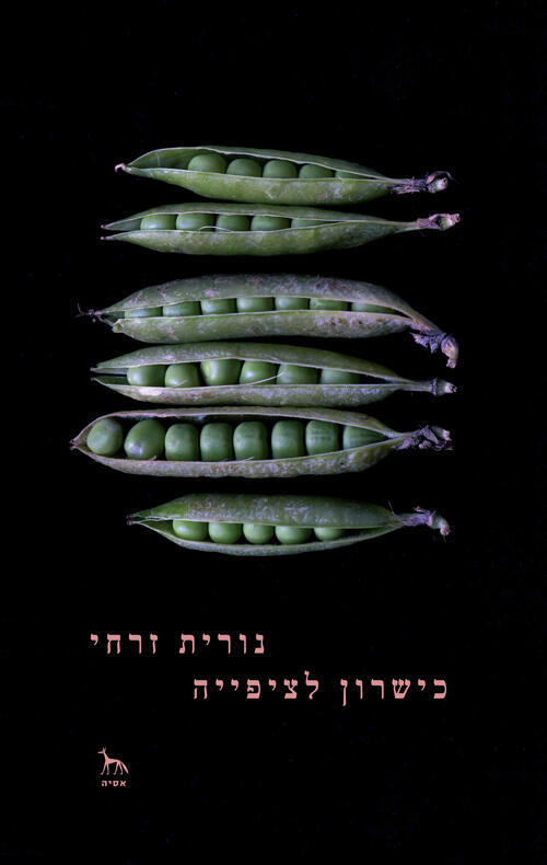 עטיפת הספר "כישרון לציפייה", מאת נורית זרחי (באדיבות אסיה הוצאה לאור) עטיפת הספר "כישרון לציפייה", מאת נורית זרחי