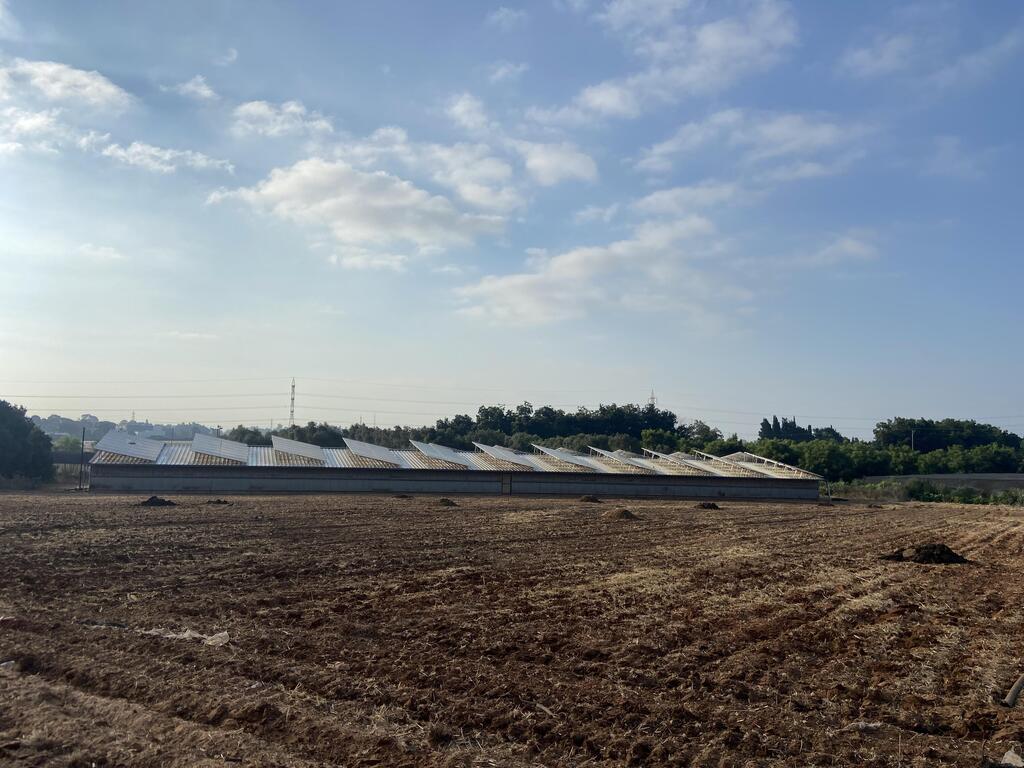 פאנלים סולאריים על מבני חקלאות (צילום: יעל מסלטון, זווית) פאנלים סולאריים על מבני חקלאות