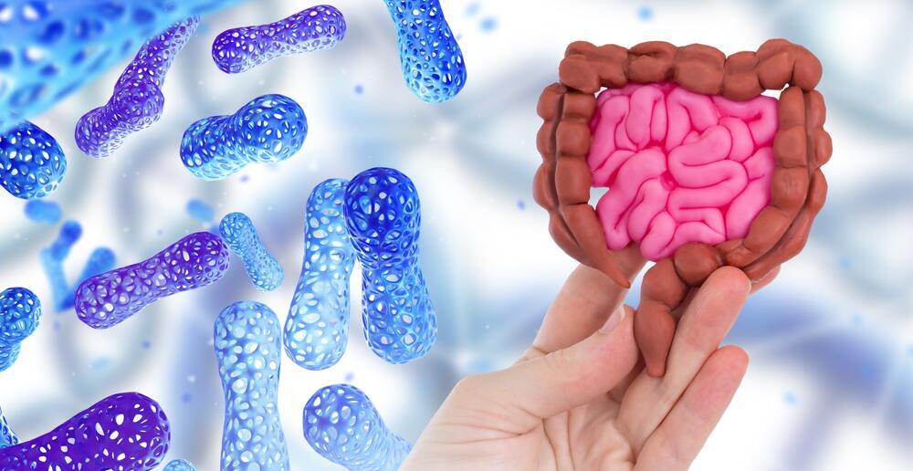 Microbiome (Photo: Shutterstock) מיקרוביום במעיים