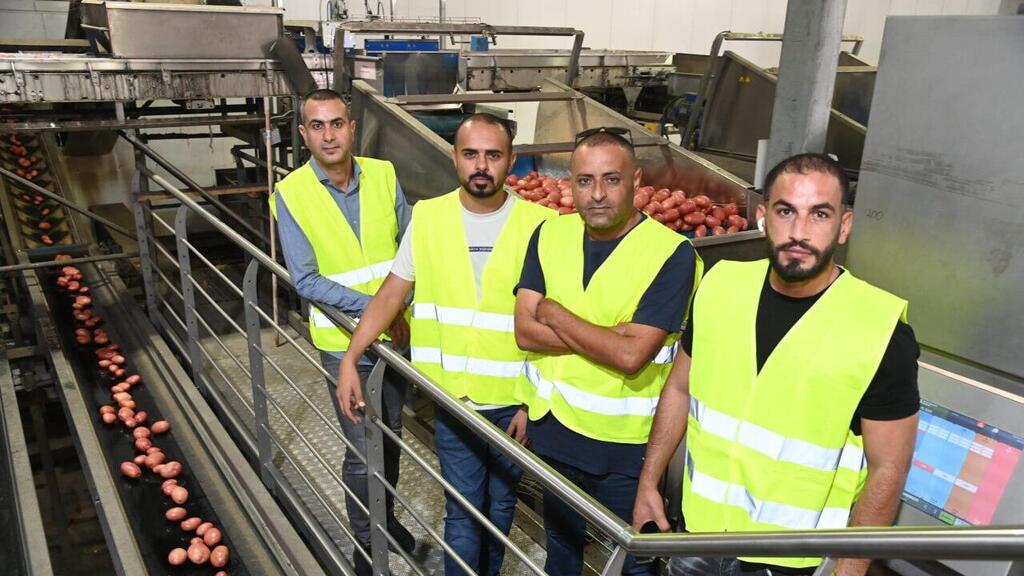 The Bedouin workers of the agricultural plant (Photo: Herzel Yosef) בדואים תושבי הנגב עובדי המפעל החקלאי בנירים