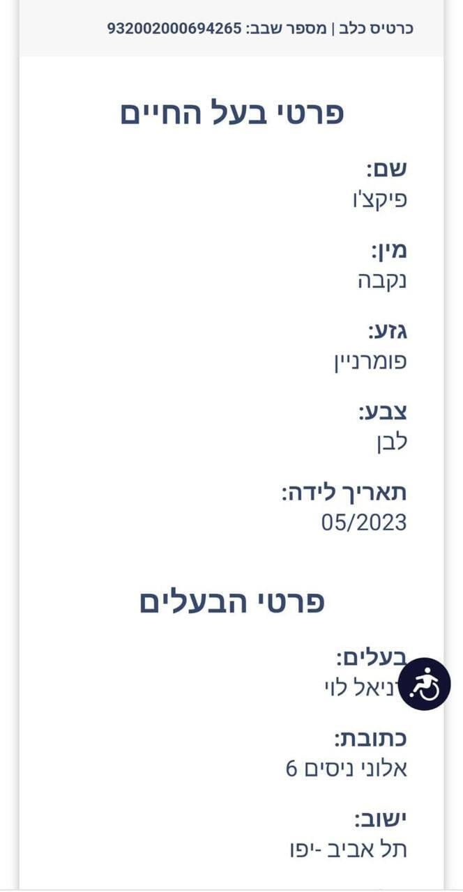 פיקצ'ו הכלבה (צילום מסך) דני לוי בן אל תבורי פרטי הכלב