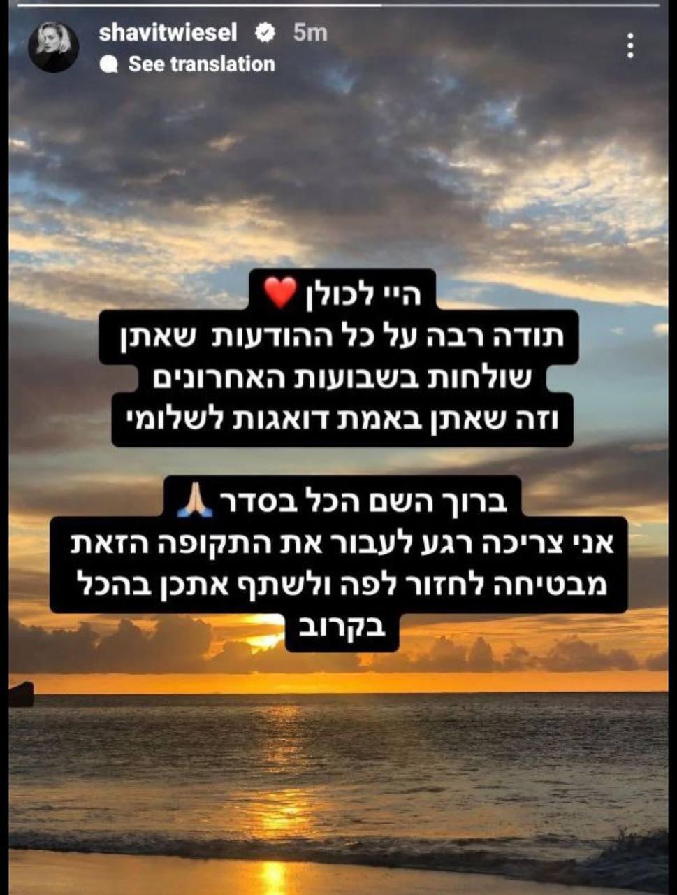 הסטורי מחודש אוגוסט האחרון (צילום: צילום מסך) שביט ויזל
