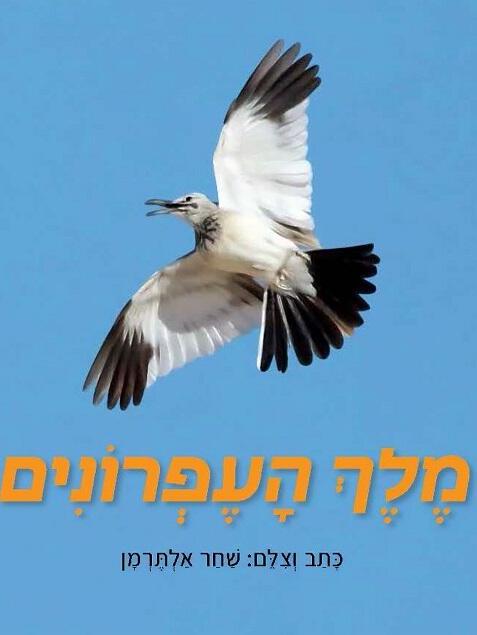 כריכת הספר מלך העפרונים