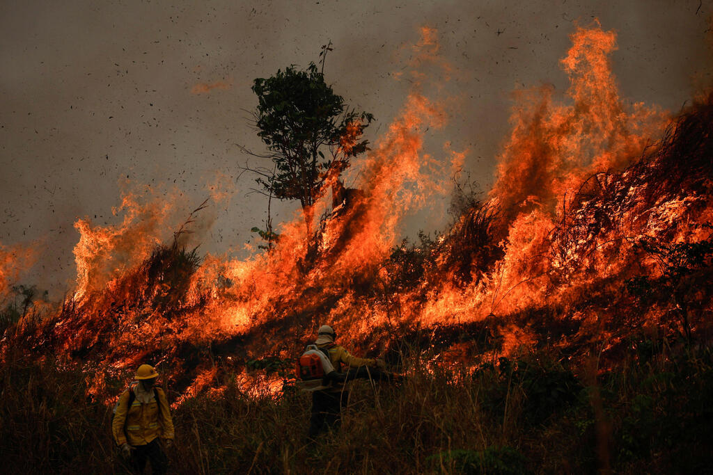 שריפה החודש באמזונס (צילום: REUTERS/Adriano Machado) שריפה החודש באמזונס
