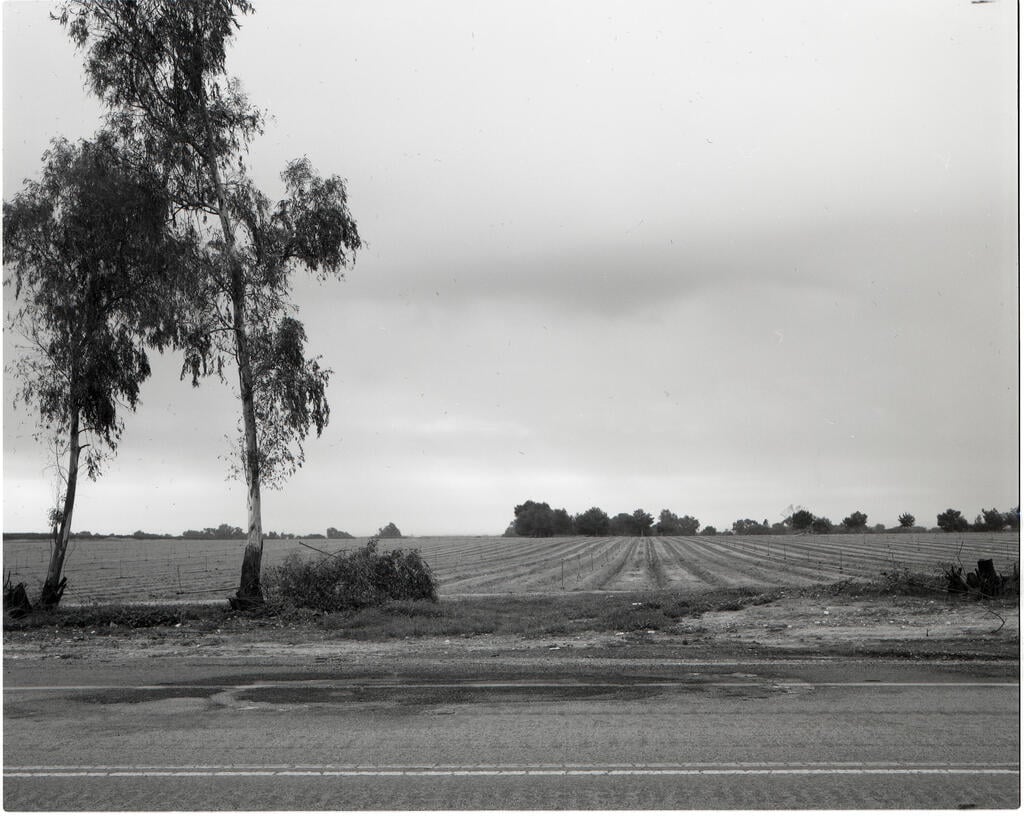 From the exhibit, Route 232 (Photo: Gaston Zvi Ickowicz) "כביש 232", מתוך התערוכה "שדה"