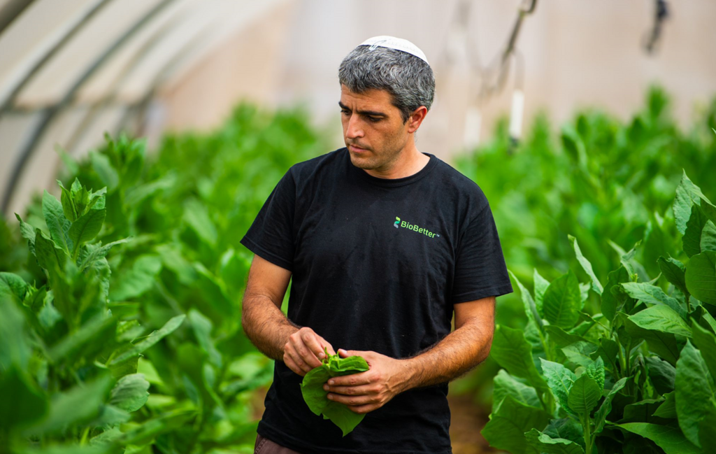 "עיכוב בלוחות הזמנים קשה יותר לכמת ולבקש עליו סיוע". ביובטר, בחזית פיתוח הטכנולוגיה של חלבונים מהצומח (צילום: יח"צ) ביובטר