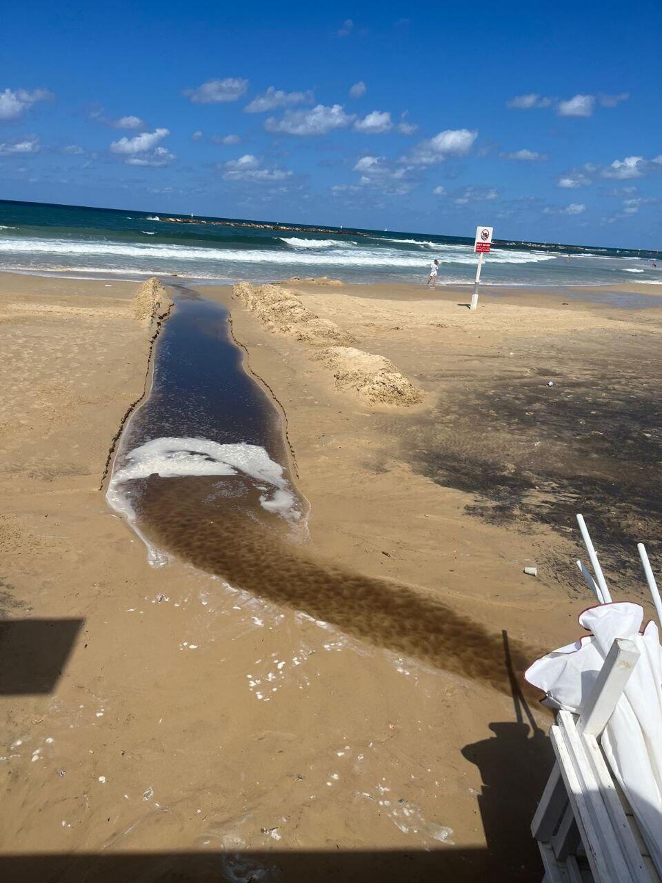 כתם שחור על החוף (צילום: תמר דן) כתם שחור על החוף