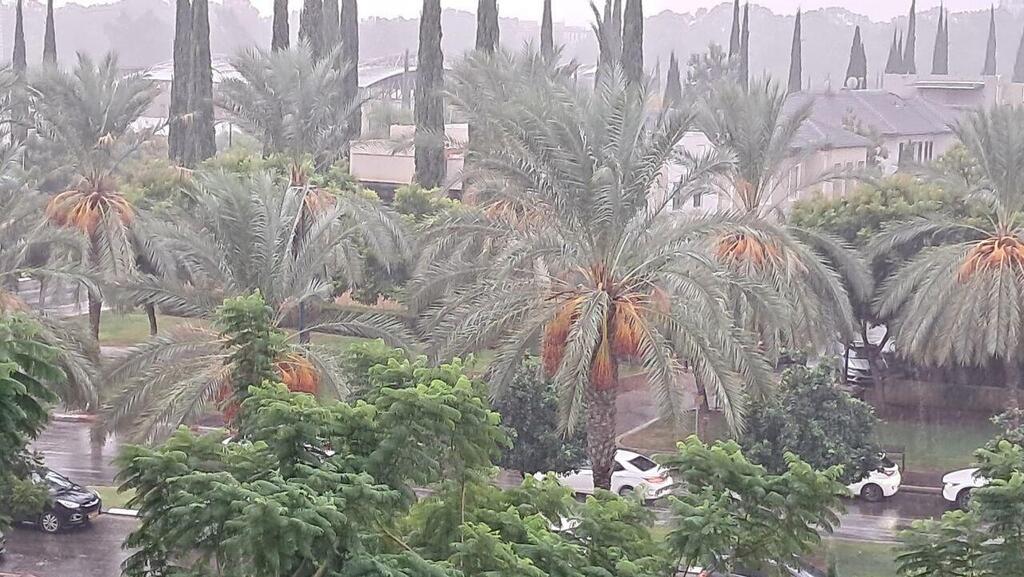 שמי קריית אונו הבוקר (צילום: ירון דרוקמן) שמי קריית אונו הבוקר