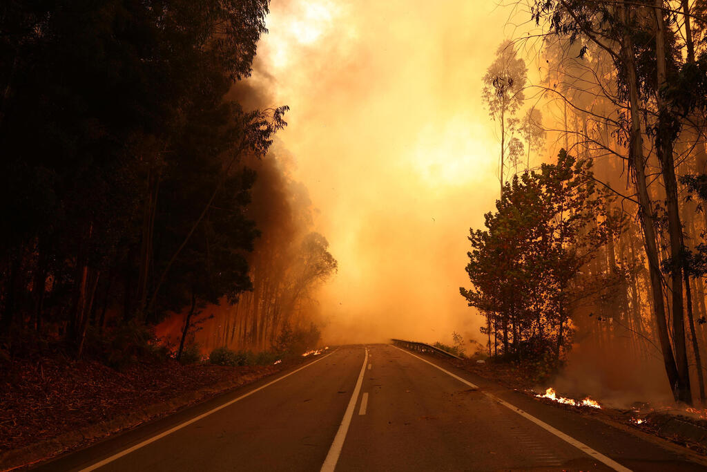 צילום: REUTERS/Pedro Nunes פורטוגל שריפה שריפות יער