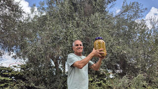 דורון צמח עם זיתים בבארי