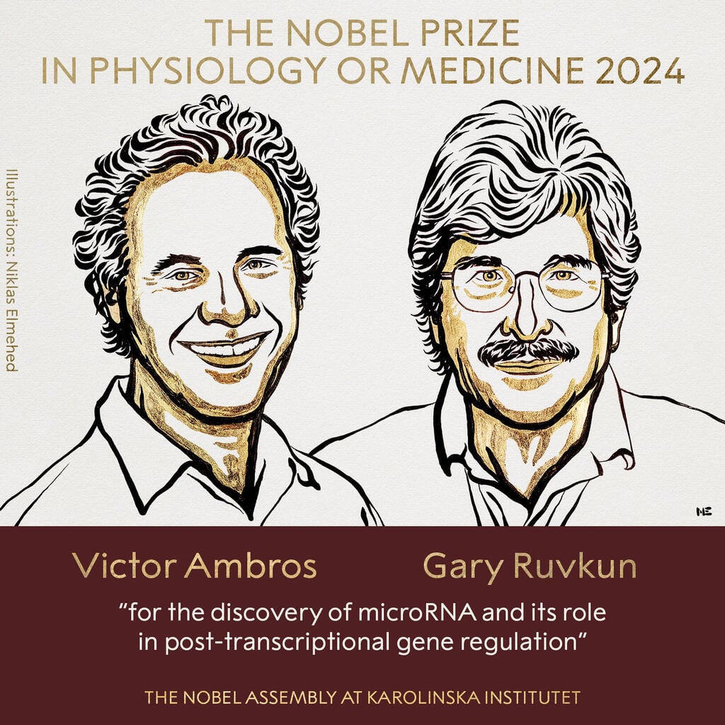 Photo: Nobel Prize webite פרס נובל לרפואה 2024