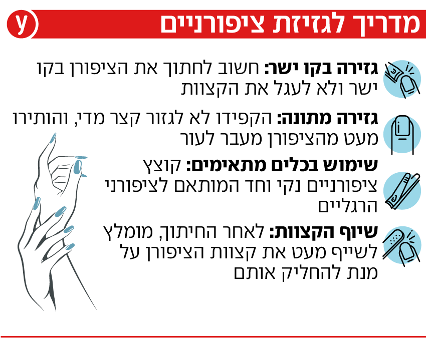 מדריך לגזיזת ציפורניים דניאל וייס