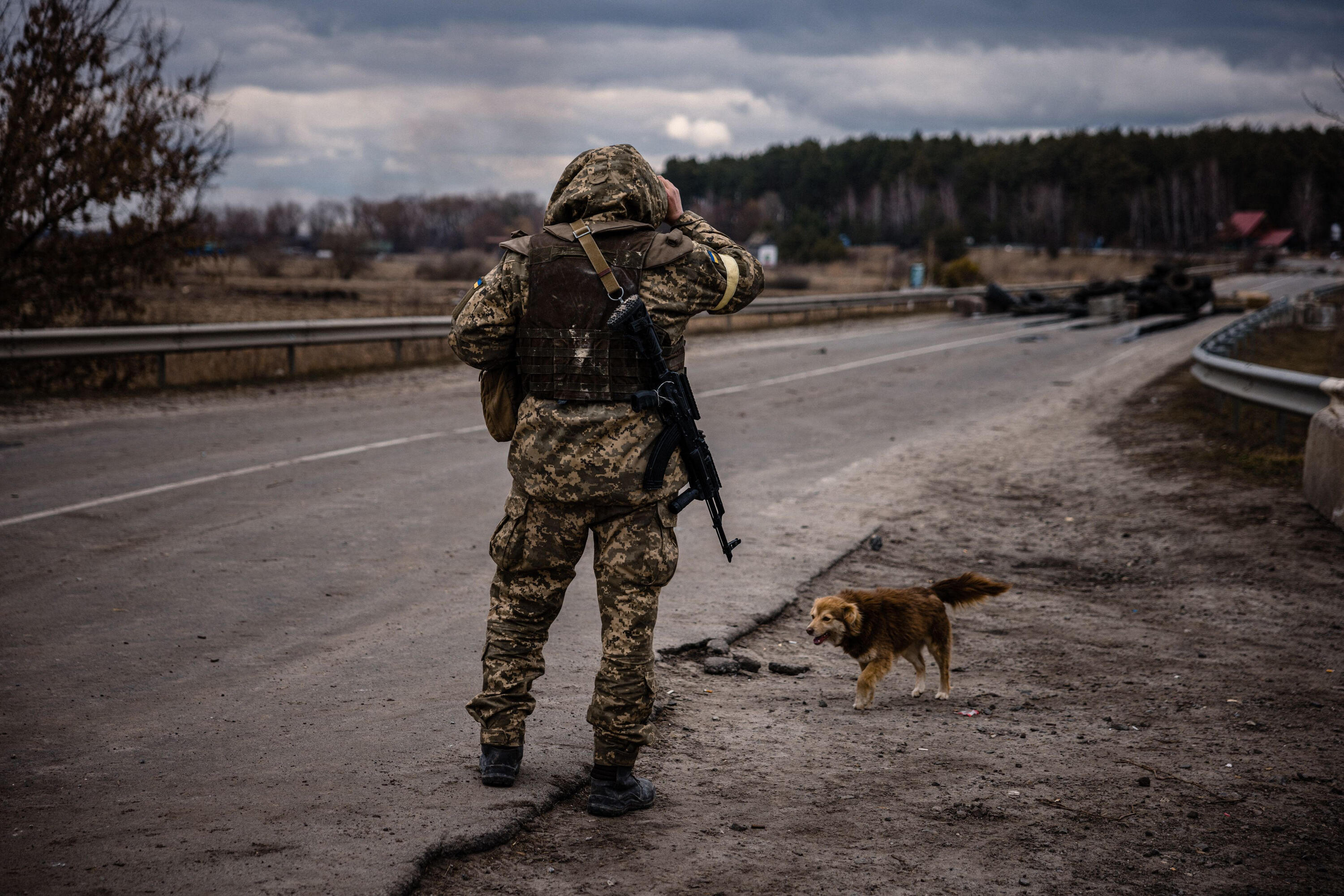 Война в Украине, день 11-й: обстрелы усиливаются, число жертв растет