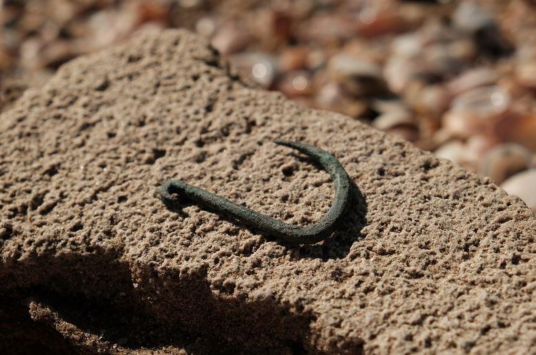 Archeologists discover 6,000-year-old fishing hook in central Israel