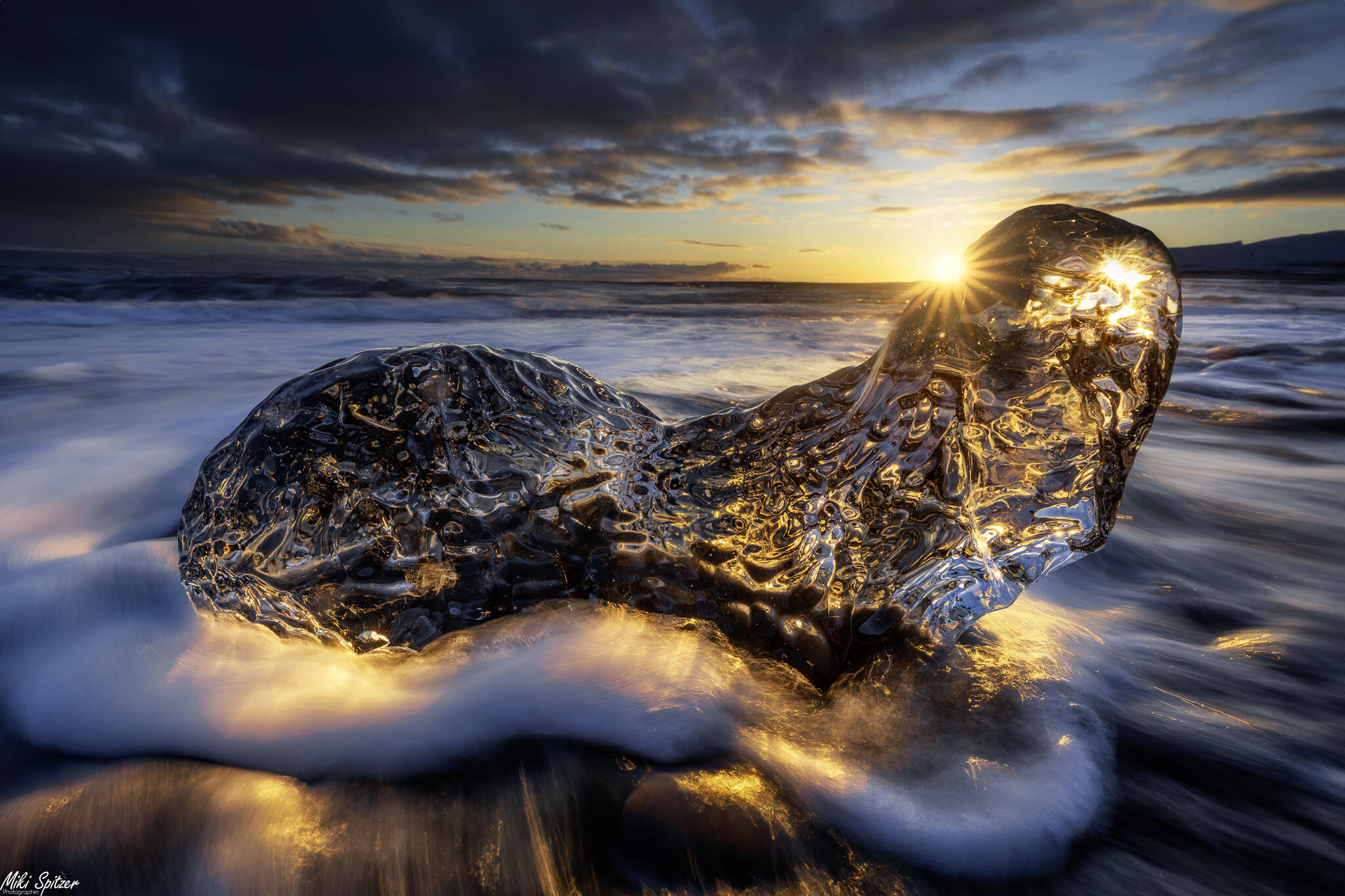 Israeli photographer wins 1st prize in World Nature Photography