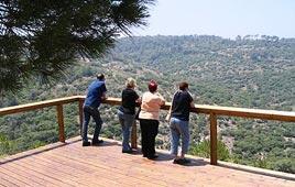 צילום: דני יצחקי