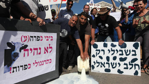 בשני בבוקר: הרפתנים ימחו נגד רפורמת החלב | היכן צפויים שיבושי תנועה קשים