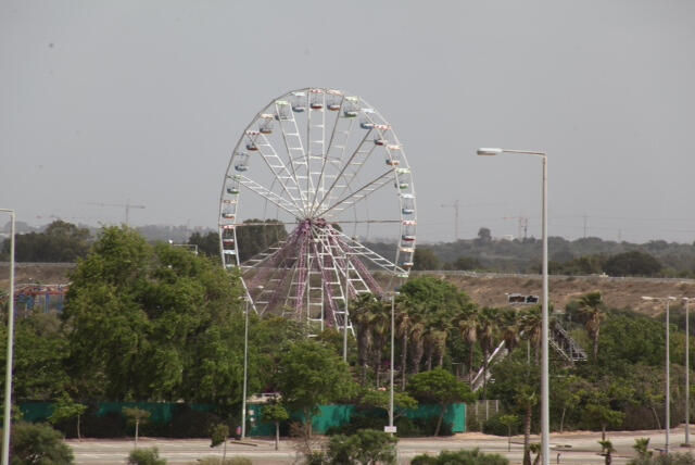 צילום: מוטי קמחי
