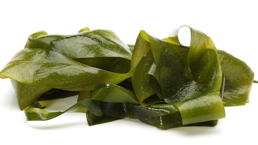 דורשותת זהירות מסוימת. אצות (צילום: shutterstock) דורשותת זהירות מסוימת. אצות