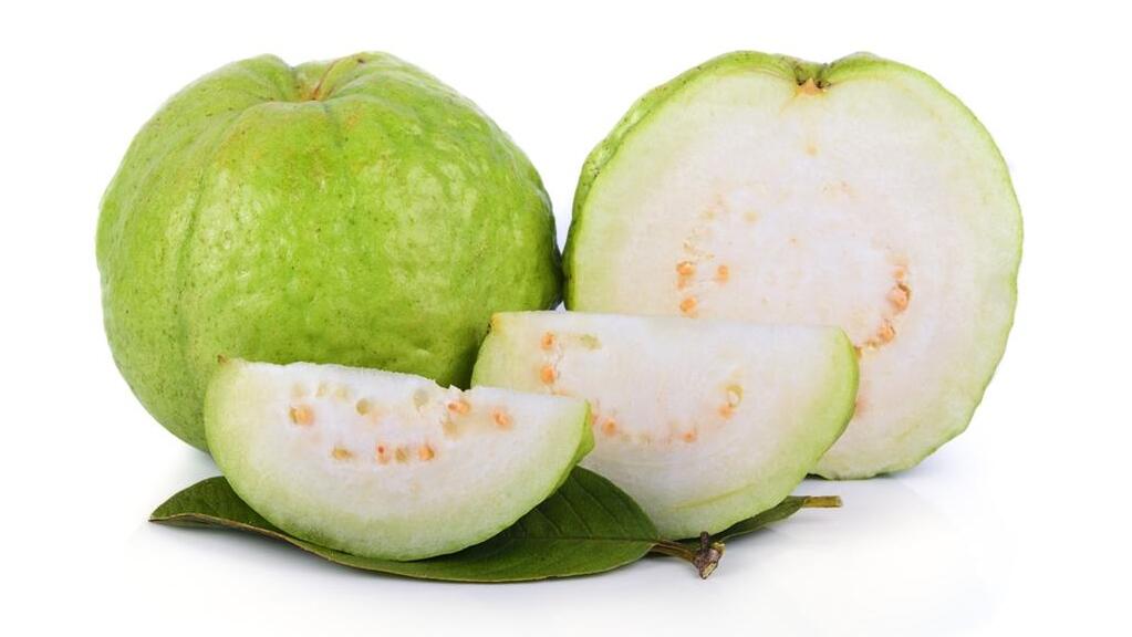 תורמת לתפקוד מעיים תקין