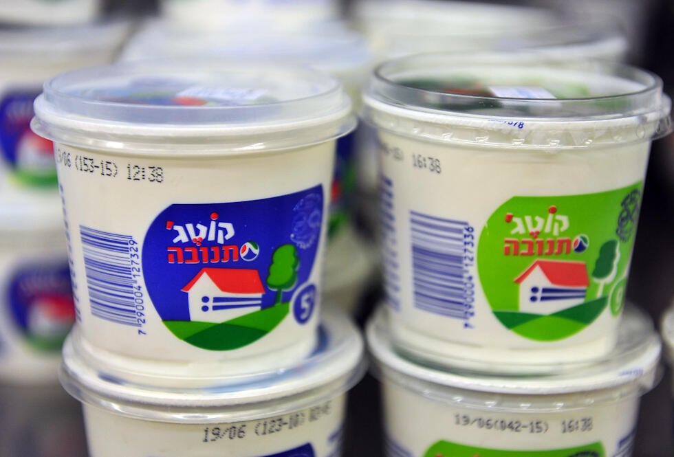 קוטג' תנובה. הרשתות הן אלו שהעלו מחירים