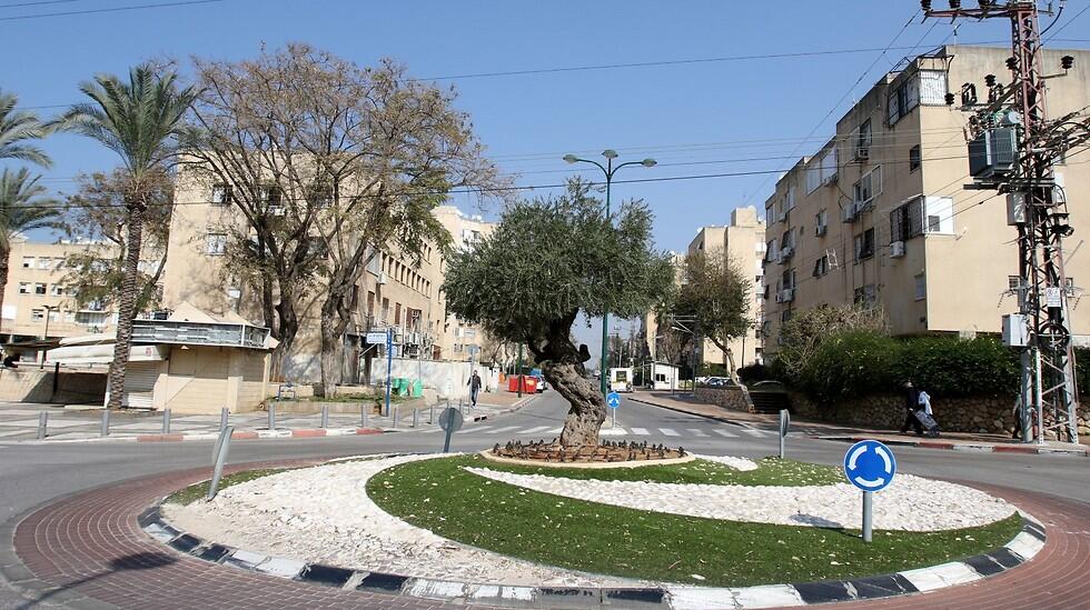 נתניה (צילום: אבי מועלם) נתניה