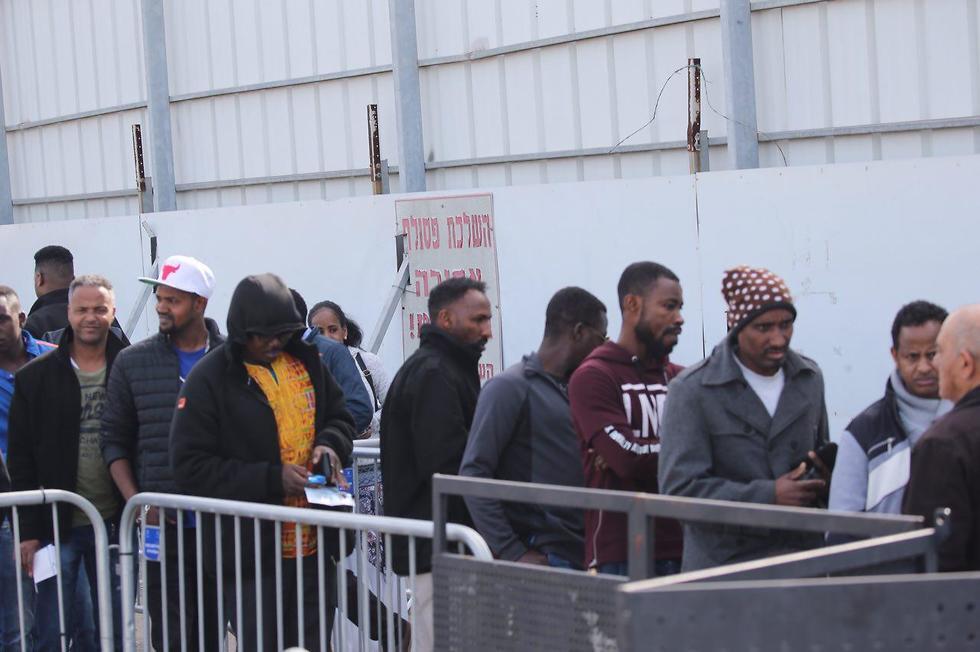African migrants line up to apply for asylum (צילום: מוטי קמחי) African migrants line up to apply for asylum