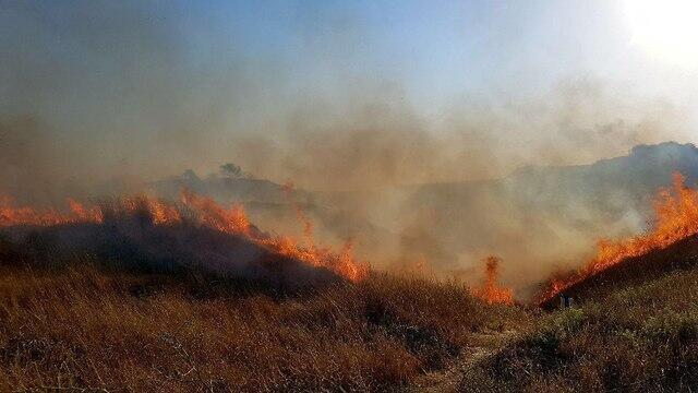 צילום: רועי עידן