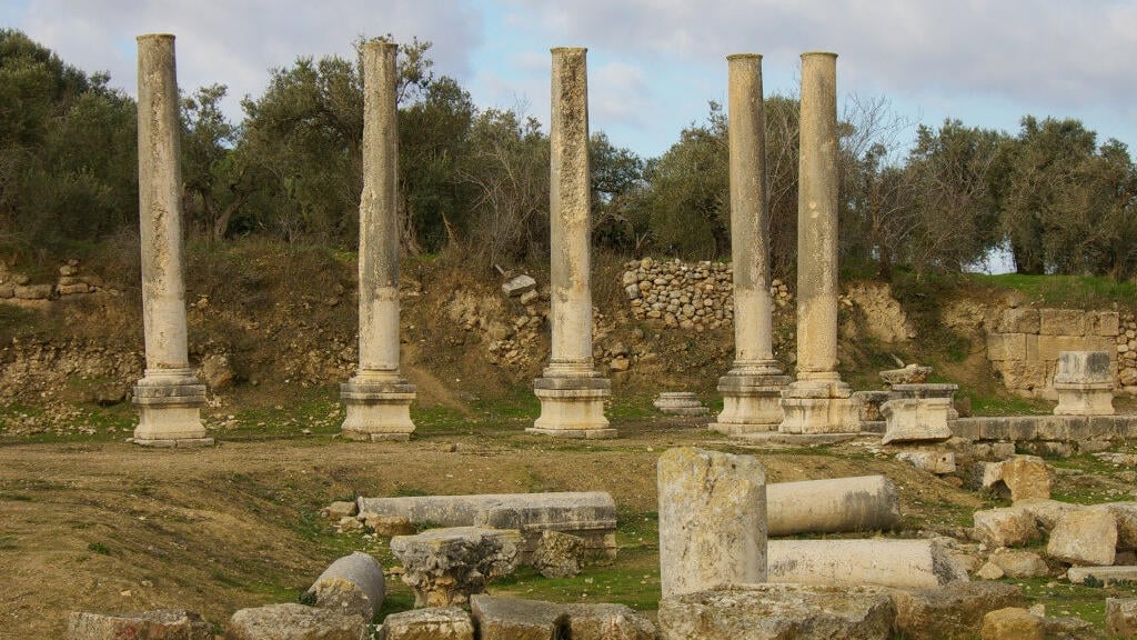 Antiquities at Sebastia National Park (Photo: Moti Sheffi, Israel Nature and Parks Authority) גן לאומי סבסטיה בשומרון