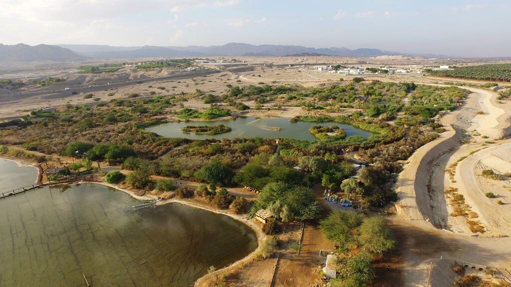 פארק הצפרות באילת (צילום: דב גרינבלט) פארק הצפרות אילת