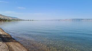 חוף דוגית הבוקר