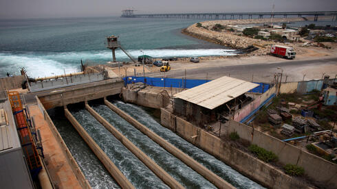 Nile Delta algae suspected in shutdown of five Israeli desalination plants