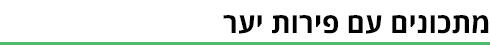 כותרת ביניים