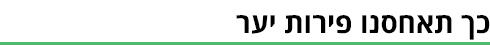 ביניים