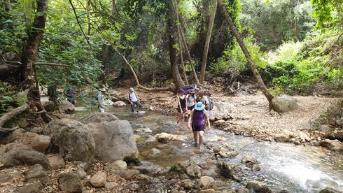 Kziv stream: Complete guide to Galilee’s most scenic nature reserve
