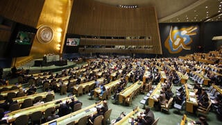 The UN General Assembly during a session in 2017 