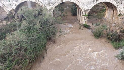 Toxic 'forever chemicals' found across waterways