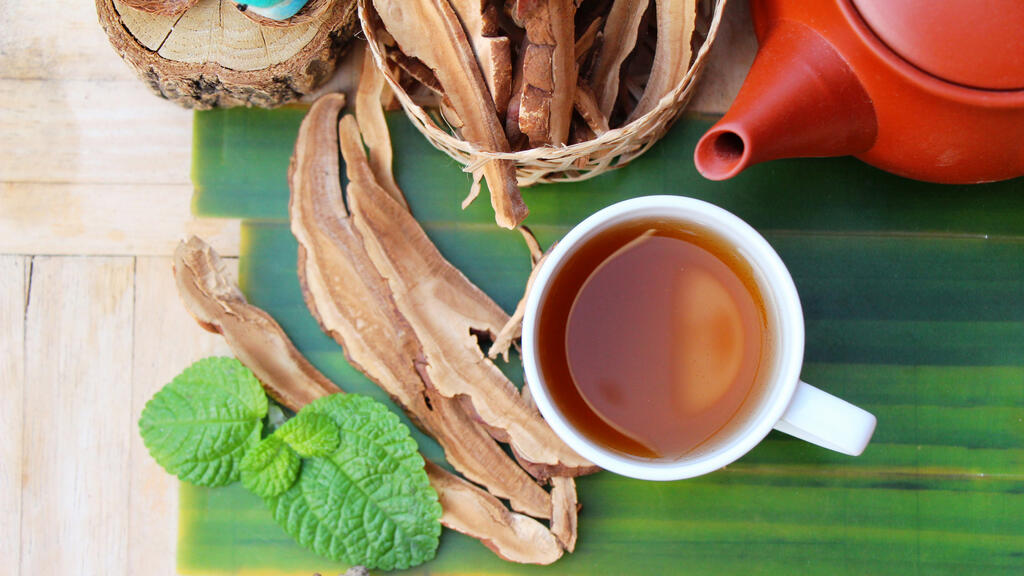 מפחיתה דלקות. פטריית ריישי (צילום: Shutterstock) פטריית ריישי