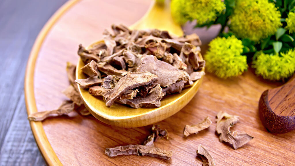 תורמת לשיפור זרימת הדם. רודיולה (צילום: Shutterstock) רודיולה