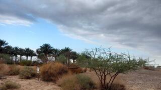 גשם ראשון בחצבה