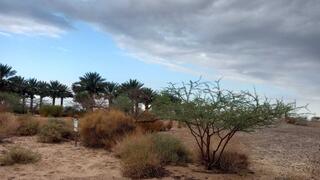 מעונן חלקית, סיכוי לגשם קל גשם ראשון בחצבה