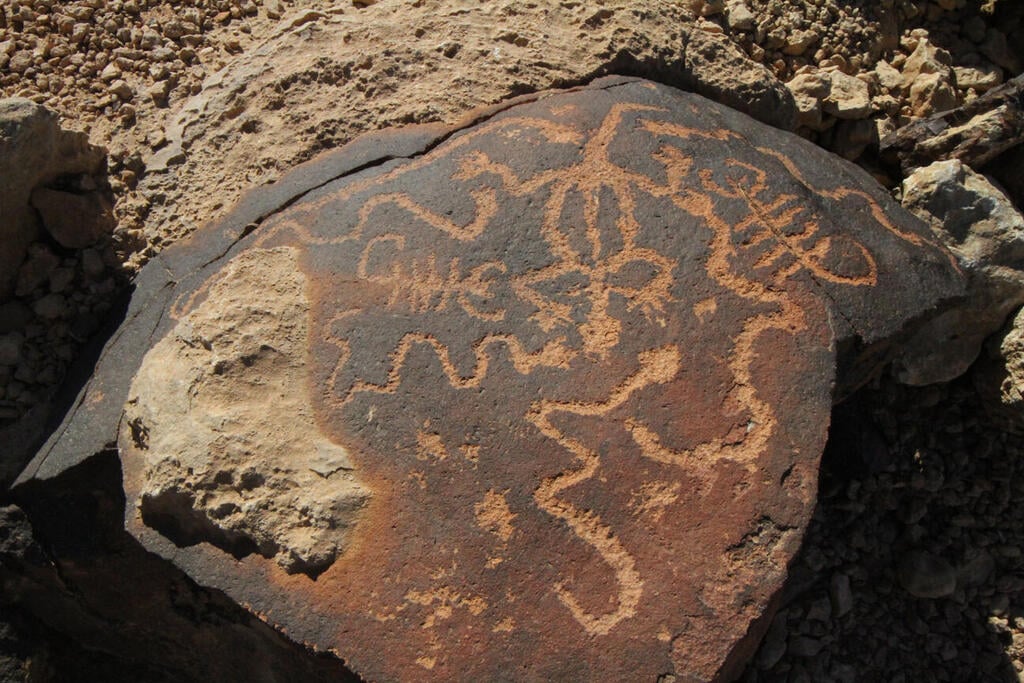 ציור סלע של נחש, שרף ועקרב (צילום: רון פלד) ציור סלע של נחש, שרף ועקרב