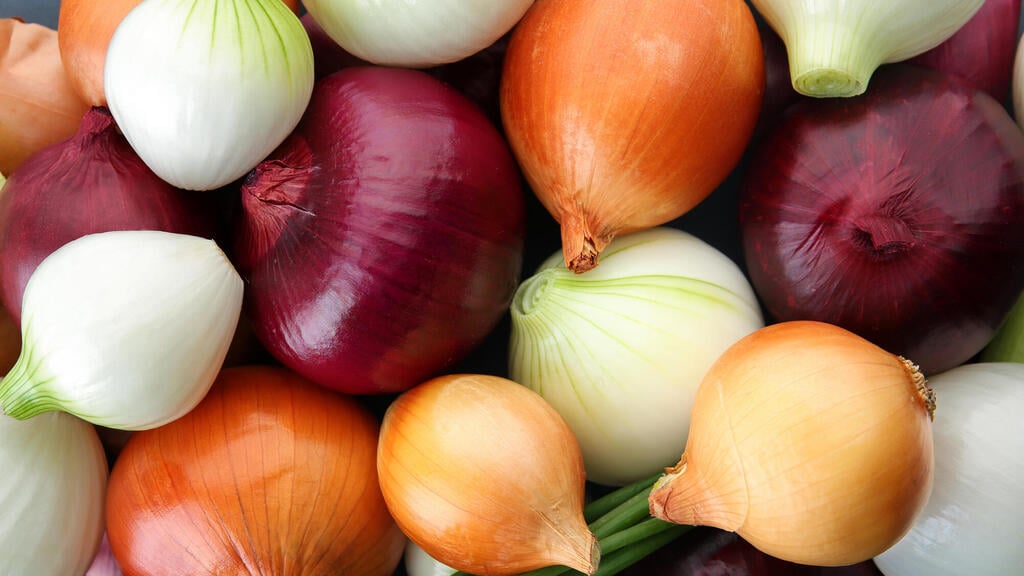 בצל (צילום: shutterstock) בצל