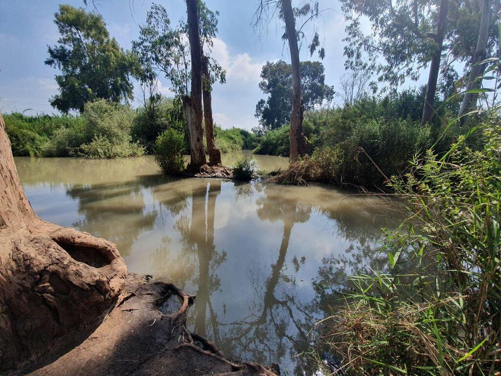 Abu Rabah - the secret spring in the Yarkon (Photo: Assaf Kamar) אבו רבאח: המעיין הסודי בירקון